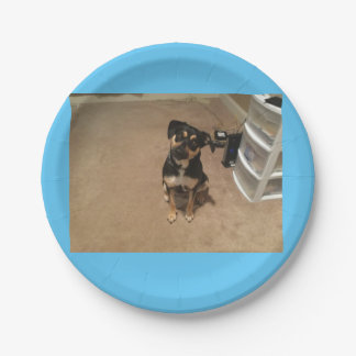 Prato De Papel Placa de papel Josie