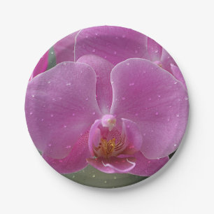 Prato De Papel Placa de papel orquídea rosa