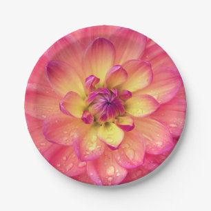 Prato De Papel Placa de papel para flores de dahlia cor-de-rosa c