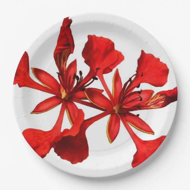 Prato De Papel Placa de Papel Real Poinciana (Frente)