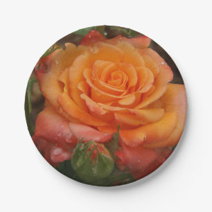 Prato De Papel Placa de papel Rosa cor de laranja