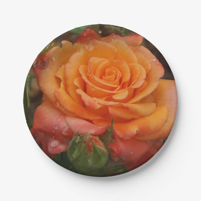 Prato De Papel Placa de papel Rosa cor de laranja (Frente)