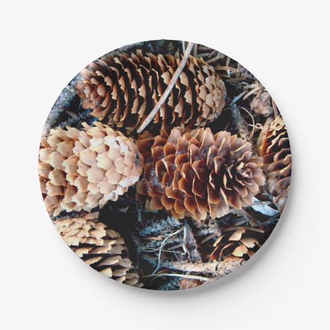 Prato De Papel Placa do Pine Cone (Frente)
