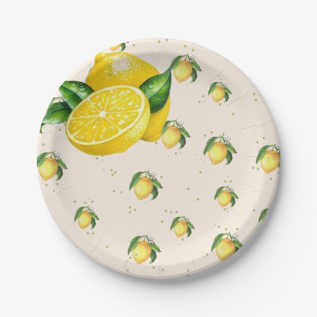 Prato De Papel Placas de Grupo (Frente)