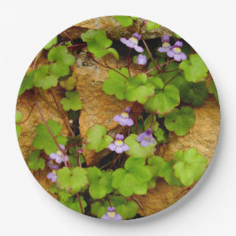 Prato De Papel Placas de papel Cymbalaria Muralis