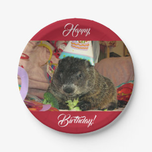 Prato De Papel Placas de papel de aniversário do Groundhog Moses