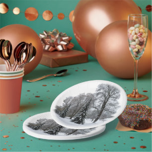 Prato De Papel Placas de papel de Natal Placas Wonderland