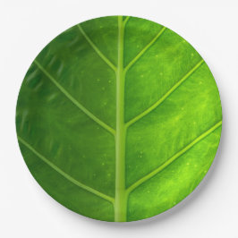 Prato De Papel Placas de papel descartáveis da folha tropical