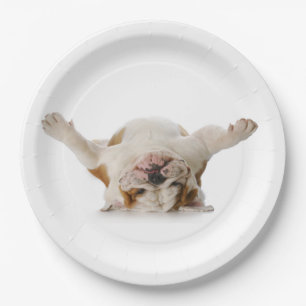 Prato De Papel Placas de papel do buldogue de cabeça para baixo