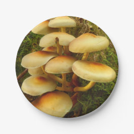 Prato De Papel Placas de papel do cogumelo do fasciculare de