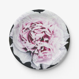 Prato De Papel Placas de papel do drama