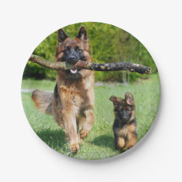 Prato De Papel Placas de papel do german shepherd