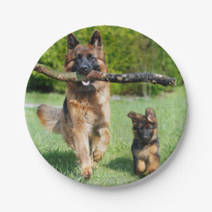 Prato De Papel Placas de papel do german shepherd