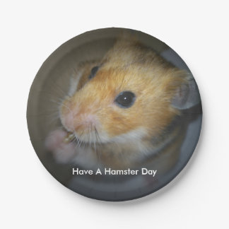 Prato De Papel Placas de papel do hamster
