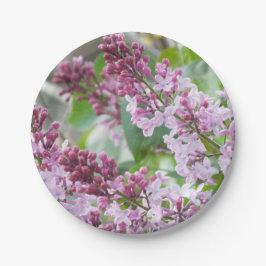 Prato De Papel Placas de papel do primavera do Lilac