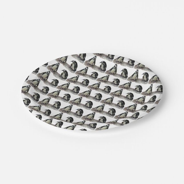 Prato De Papel Placas de papel dos pinguins (Inclinado)