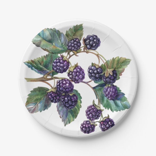 Prato De Papel Placas de papel e de festas (Frente)