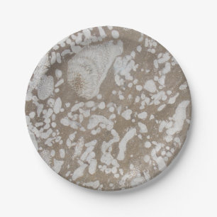 Prato De Papel Placas de papel fóssil da Devónia