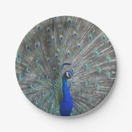 PRATO DE PAPEL PLACAS DE PAPEL FOTOGRÁFICO PEACOCK