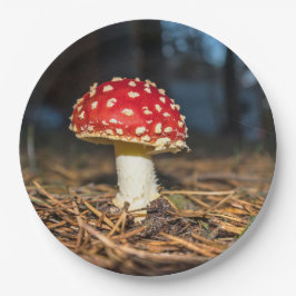 Prato De Papel Placas de papel para banheiro vermelho