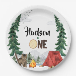 Prato De Papel Placas de papel para campista felizes