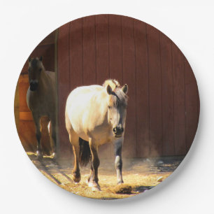 Prato De Papel Placas de papel para cavalos