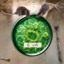 Placas De Papel Para Pixi, Placa De Papel Redonda