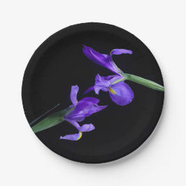 Prato De Papel Placas de papel redondas com íris duplas