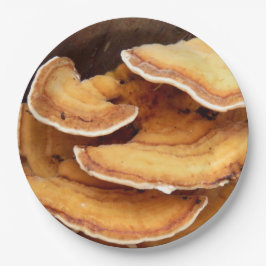 Prato De Papel Placas de papel Stereum Hirsutum Fungi