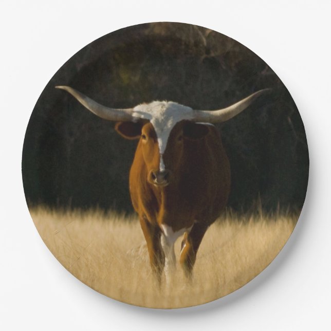 Prato De Papel Placas de papel Texas Longhorn
