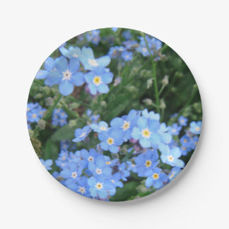 Prato De Papel Placas do partido do *Forget-Me-Not*