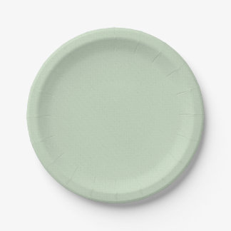 Prato De Papel Placas Simples E Simples Para festas de aniversári