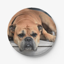 Planilha Continental Personalizável