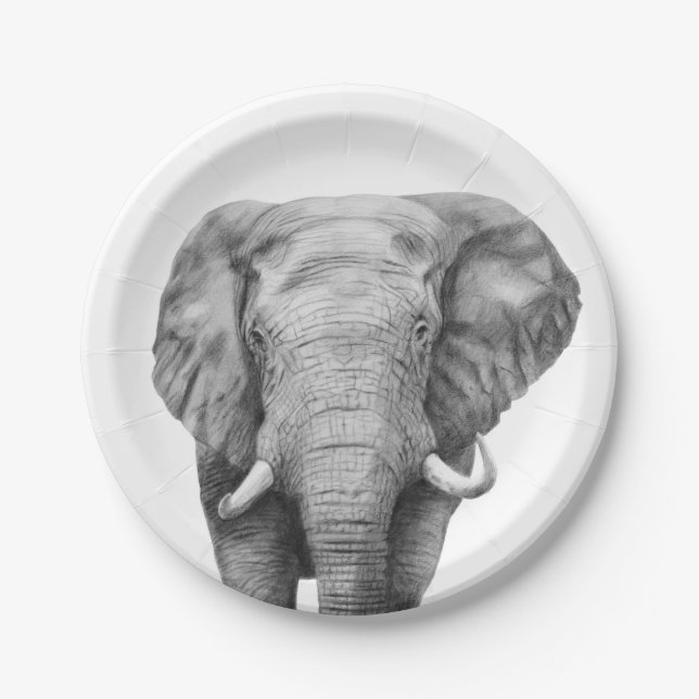 Prato De Papel Plano de backup IV (Frente)