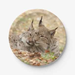 Prato De Papel Plano de papel. Foto Lynx.