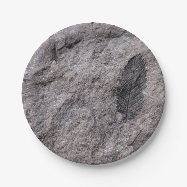 Prato De Papel Planta Fossilizada 350 Milhões De Anos. Impressão  (Frente)