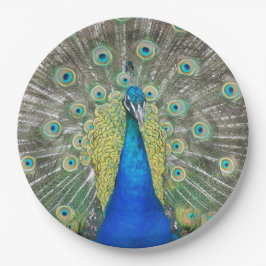 Prato De Papel Plumagem de Peste Azul