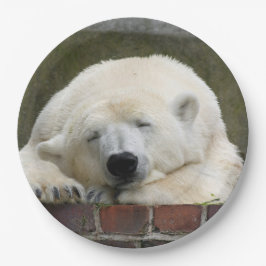 Prato De Papel Polar_Bear_2015_0301