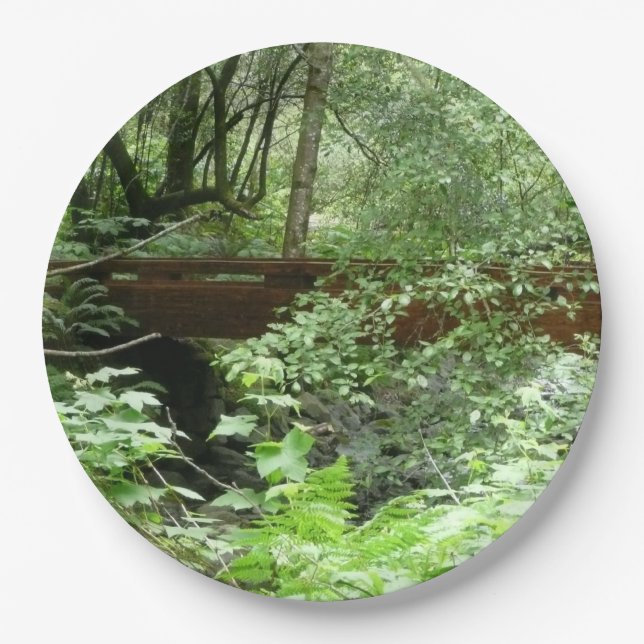 Prato De Papel Ponte Muir Woods I (Frente)