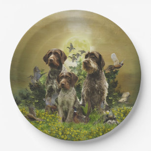 Prato De Papel Ponteiro alemão Wirehaired