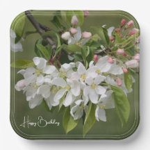 Praça do Flor de Fruta Branca