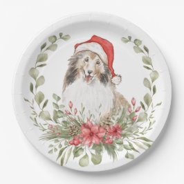 Prato De Papel Prateleiras em um Chapéu Santa