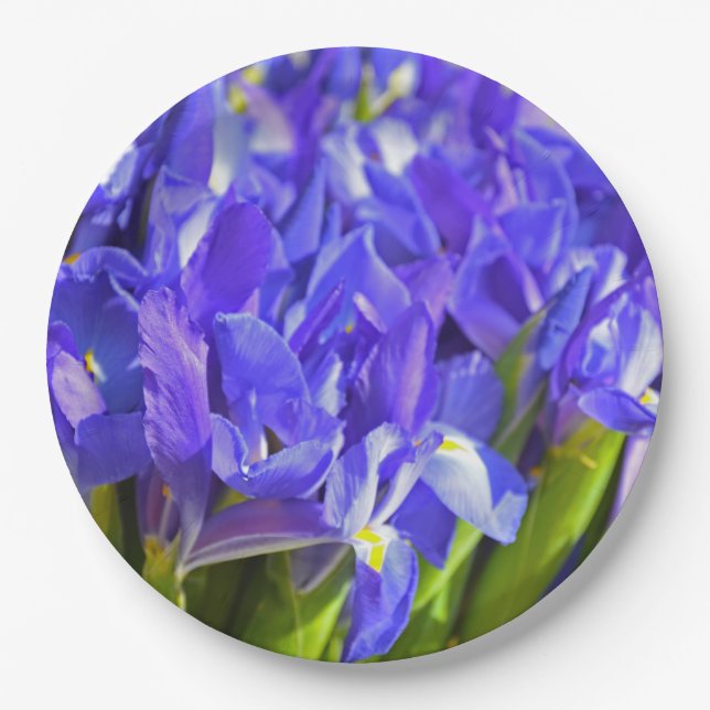 Prato De Papel Primavera iris (Frente)