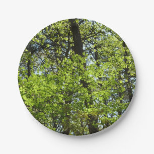 Prato De Papel Primavera Maple Deixa a natureza