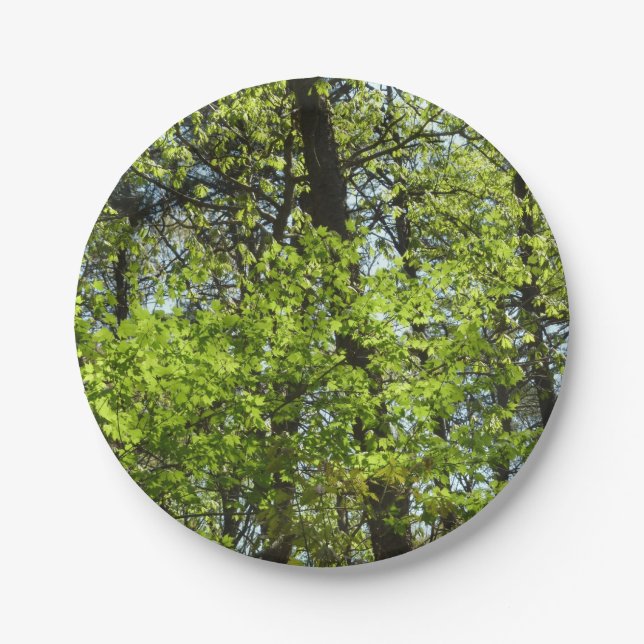 Prato De Papel Primavera Maple Deixa a natureza (Frente)