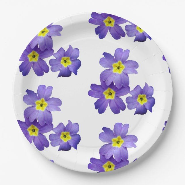 Prato De Papel Primavera Sprung Paper Placas 9 pol (Frente)