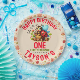 Prato De Papel Primeiro aniversario Ladybug | Partido do Tema do