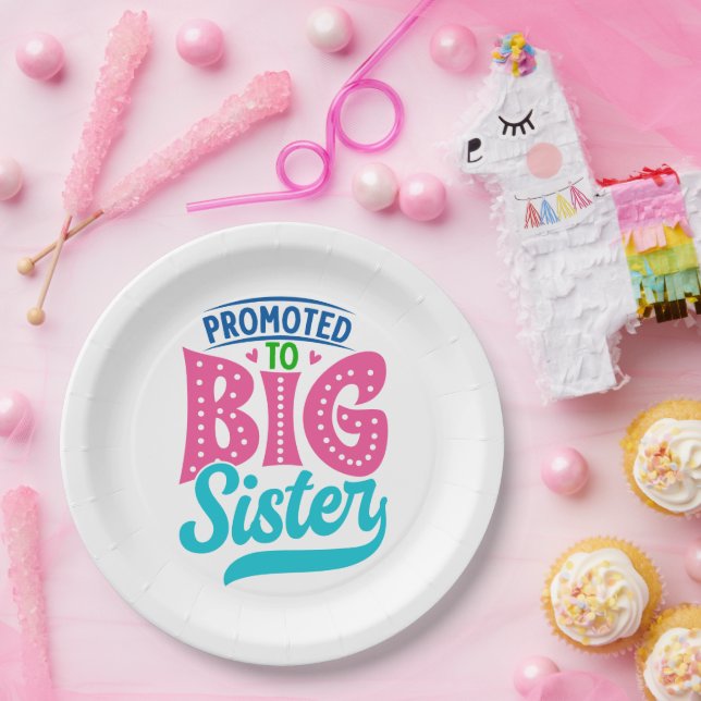 Prato De Papel Promovido À Irmã Grande, Nova Revelação Da Irmã Ir (Festa)