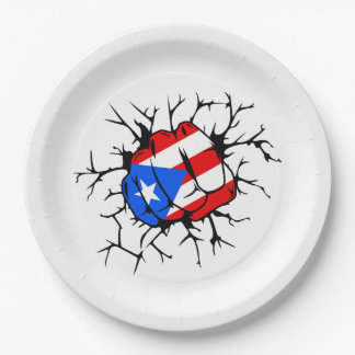 Prato De Papel Puerto Rico Flag