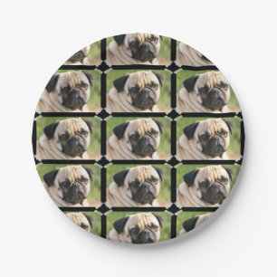 Prato De Papel Pug bonito